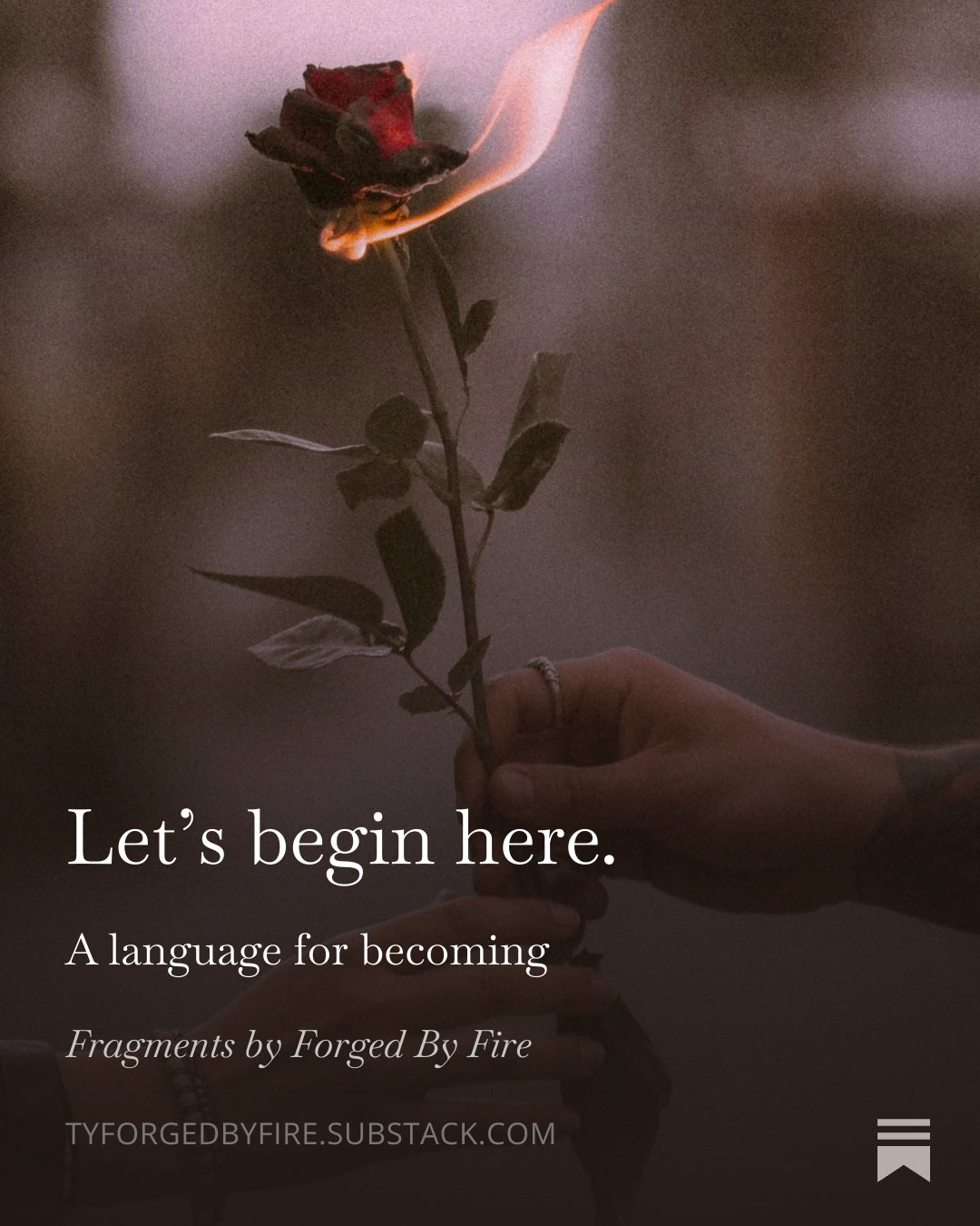 Let’s begin here.
